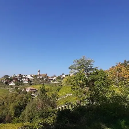 Mermaid N 16/a Affittacamere 3*