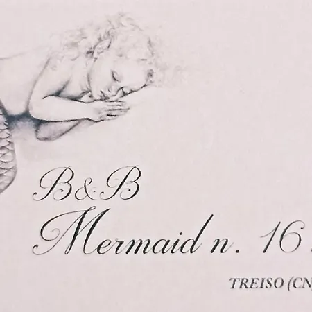 Mermaid N 16/a Гостевой дом 3*