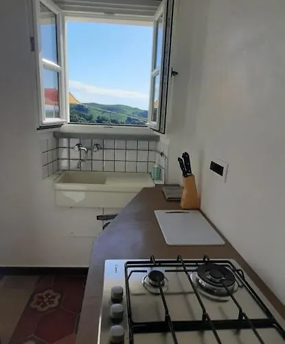 Mermaid N 16/a טרייזו